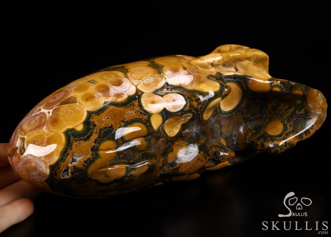 Stunning Giant 8.3" Ocean Jasper Carved Elongated Mayan Alien Crystal Skull, Reiki Healing Stone Statue Stunning Giant 8.3" Ocean Jasper Carved Elongated Mayan Alien Crystal Skull, Reiki Healing Stone Statue