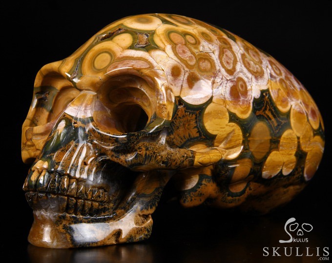 Stunning Giant 8.3" Ocean Jasper Carved Elongated Mayan Alien Crystal Skull, Reiki Healing Stone Statue Stunning Giant 8.3" Ocean Jasper Carved Elongated Mayan Alien Crystal Skull, Reiki Healing Stone Statue