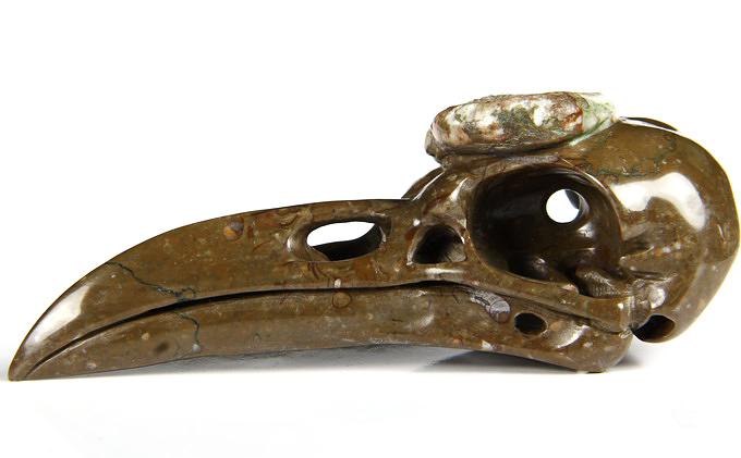 Jan 27, 2015 ACSAD (A Crystal Skull a Day) - The Secret of Immortality - Lituites Fossil Carved Crystal Raven Skull Sculpture Jan 27, 2015 ACSAD (A Crystal Skull a Day) - The Secret of Immortality - Lituites Fossil Carved Crystal Raven Skull Sculpture