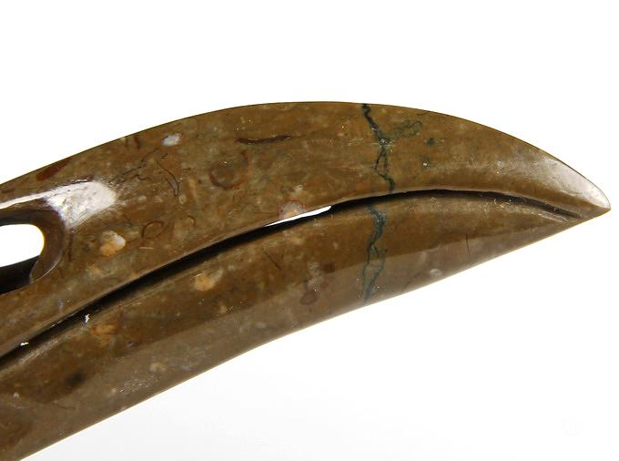 Jan 27, 2015 ACSAD (A Crystal Skull a Day) - The Secret of Immortality - Lituites Fossil Carved Crystal Raven Skull Sculpture Jan 27, 2015 ACSAD (A Crystal Skull a Day) - The Secret of Immortality - Lituites Fossil Carved Crystal Raven Skull Sculpture