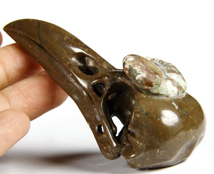 Jan 27, 2015 ACSAD (A Crystal Skull a Day) - The Secret of Immortality - Lituites Fossil Carved Crystal Raven Skull Sculpture Jan 27, 2015 ACSAD (A Crystal Skull a Day) - The Secret of Immortality - Lituites Fossil Carved Crystal Raven Skull Sculpture