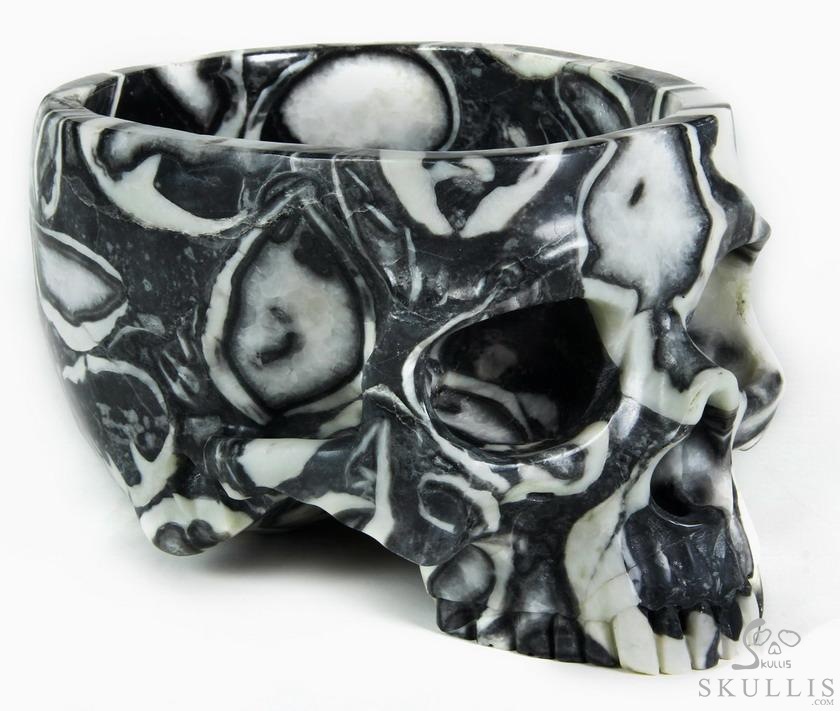 Huge 7.0" Sea Shell Marble Carved Crystal Skull Bowl Sculpture Huge 7.0" Sea Shell Marble Carved Crystal Skull Bowl Sculpture