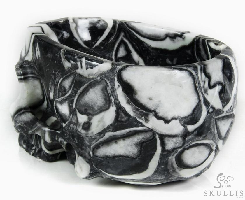 Huge 7.0" Sea Shell Marble Carved Crystal Skull Bowl Sculpture Huge 7.0" Sea Shell Marble Carved Crystal Skull Bowl Sculpture