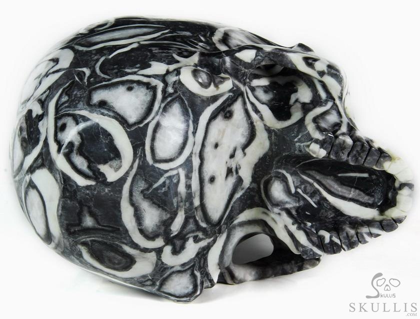 Huge 7.0" Sea Shell Marble Carved Crystal Skull Bowl Sculpture Huge 7.0" Sea Shell Marble Carved Crystal Skull Bowl Sculpture