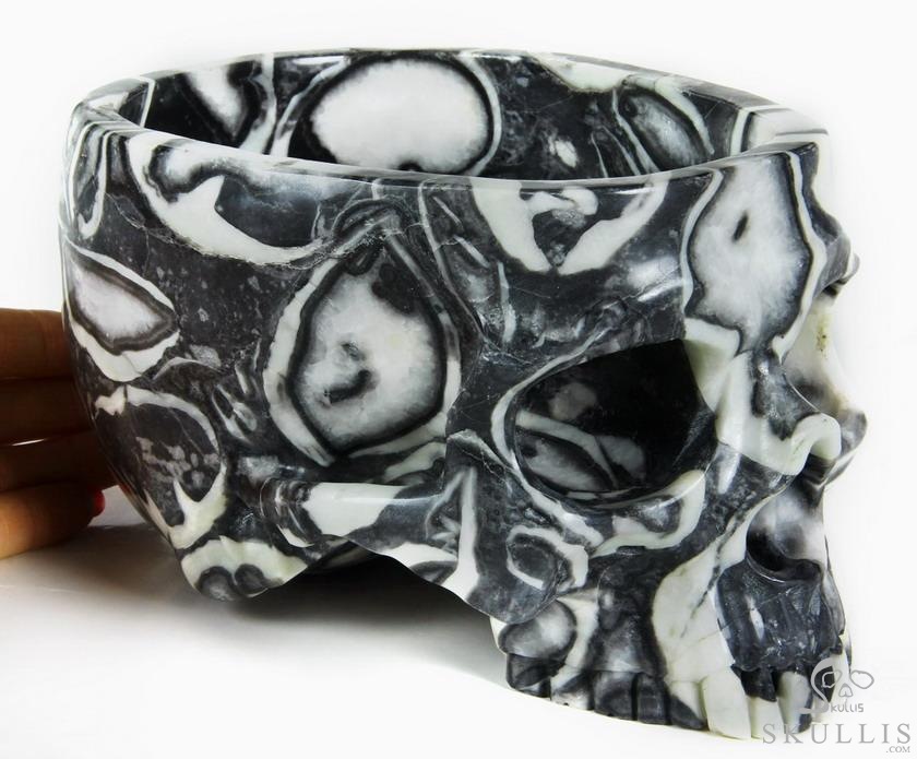 Huge 7.0" Sea Shell Marble Carved Crystal Skull Bowl Sculpture Huge 7.0" Sea Shell Marble Carved Crystal Skull Bowl Sculpture