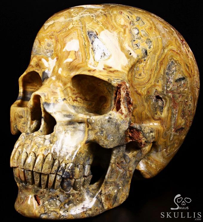 (38.4LB )Feb 3, 2015 ACSAD (A Crystal Skull a Day) - Faly Goavana - Titan Crazy Lace Agate Carved Crystal Skull Sculpture (38.4LB )Feb 3, 2015 ACSAD (A Crystal Skull a Day) - Faly Goavana - Titan Crazy Lace Agate Carved Crystal Skull Sculpture