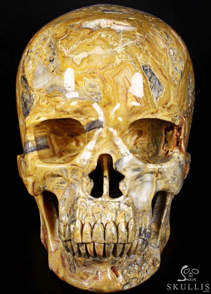 (38.4LB )Feb 3, 2015 ACSAD (A Crystal Skull a Day) - Faly Goavana - Titan Crazy Lace Agate Carved Crystal Skull Sculpture (38.4LB )Feb 3, 2015 ACSAD (A Crystal Skull a Day) - Faly Goavana - Titan Crazy Lace Agate Carved Crystal Skull Sculpture