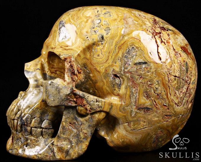 (38.4LB )Feb 3, 2015 ACSAD (A Crystal Skull a Day) - Faly Goavana - Titan Crazy Lace Agate Carved Crystal Skull Sculpture (38.4LB )Feb 3, 2015 ACSAD (A Crystal Skull a Day) - Faly Goavana - Titan Crazy Lace Agate Carved Crystal Skull Sculpture