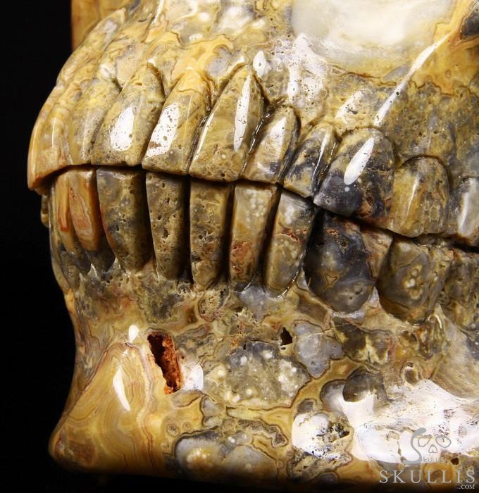 (38.4LB )Feb 3, 2015 ACSAD (A Crystal Skull a Day) - Faly Goavana - Titan Crazy Lace Agate Carved Crystal Skull Sculpture (38.4LB )Feb 3, 2015 ACSAD (A Crystal Skull a Day) - Faly Goavana - Titan Crazy Lace Agate Carved Crystal Skull Sculpture