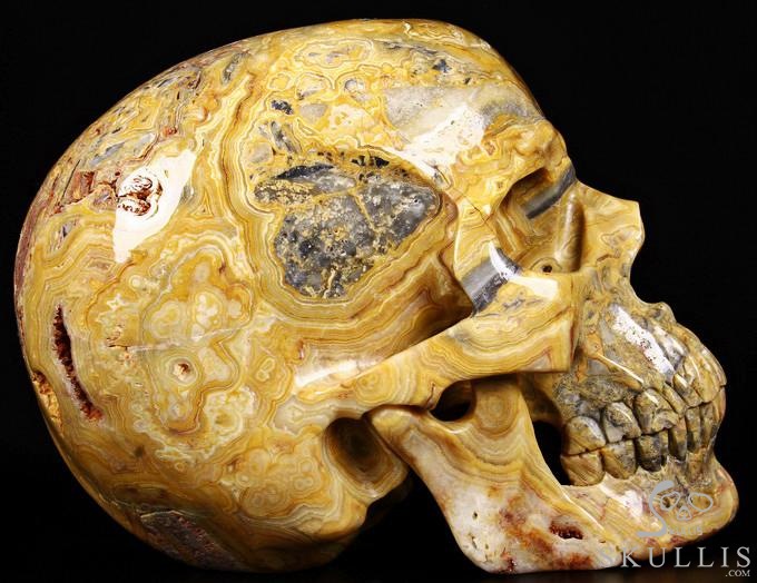 (38.4LB )Feb 3, 2015 ACSAD (A Crystal Skull a Day) - Faly Goavana - Titan Crazy Lace Agate Carved Crystal Skull Sculpture (38.4LB )Feb 3, 2015 ACSAD (A Crystal Skull a Day) - Faly Goavana - Titan Crazy Lace Agate Carved Crystal Skull Sculpture