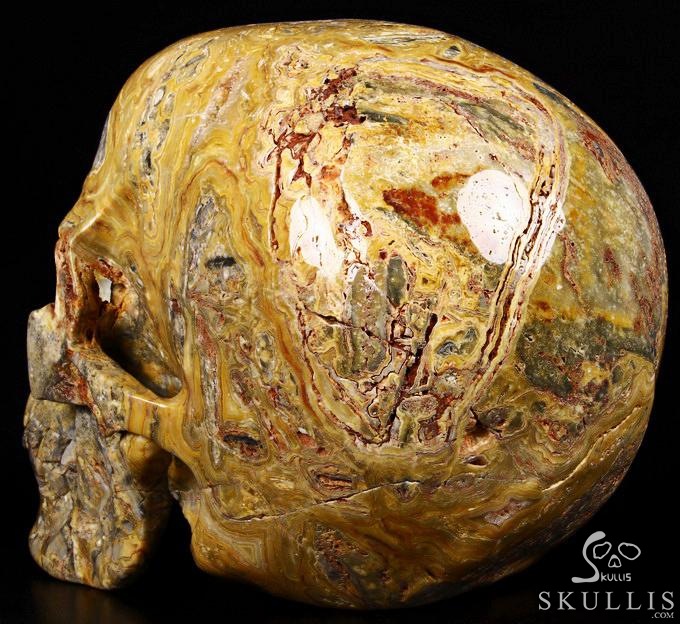 (38.4LB )Feb 3, 2015 ACSAD (A Crystal Skull a Day) - Faly Goavana - Titan Crazy Lace Agate Carved Crystal Skull Sculpture (38.4LB )Feb 3, 2015 ACSAD (A Crystal Skull a Day) - Faly Goavana - Titan Crazy Lace Agate Carved Crystal Skull Sculpture