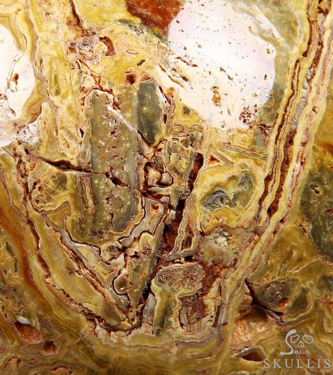 (38.4LB )Feb 3, 2015 ACSAD (A Crystal Skull a Day) - Faly Goavana - Titan Crazy Lace Agate Carved Crystal Skull Sculpture (38.4LB )Feb 3, 2015 ACSAD (A Crystal Skull a Day) - Faly Goavana - Titan Crazy Lace Agate Carved Crystal Skull Sculpture
