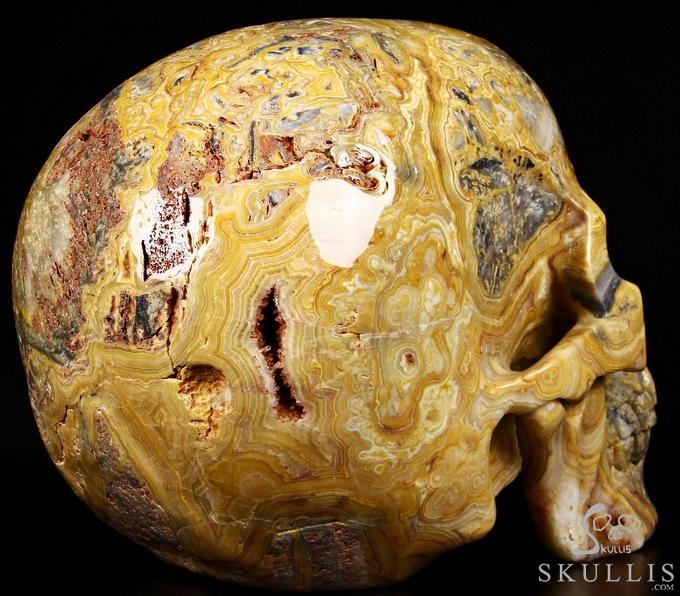 (38.4LB )Feb 3, 2015 ACSAD (A Crystal Skull a Day) - Faly Goavana - Titan Crazy Lace Agate Carved Crystal Skull Sculpture (38.4LB )Feb 3, 2015 ACSAD (A Crystal Skull a Day) - Faly Goavana - Titan Crazy Lace Agate Carved Crystal Skull Sculpture