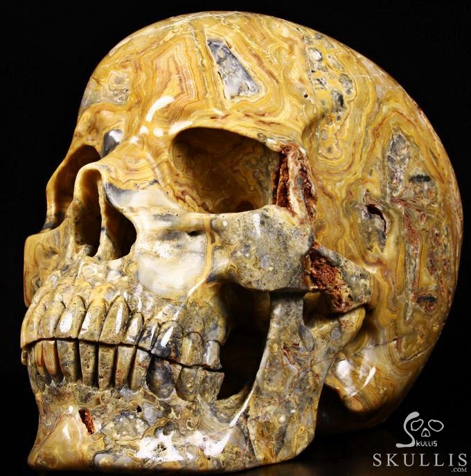 (38.4LB )Feb 3, 2015 ACSAD (A Crystal Skull a Day) - Faly Goavana - Titan Crazy Lace Agate Carved Crystal Skull Sculpture (38.4LB )Feb 3, 2015 ACSAD (A Crystal Skull a Day) - Faly Goavana - Titan Crazy Lace Agate Carved Crystal Skull Sculpture