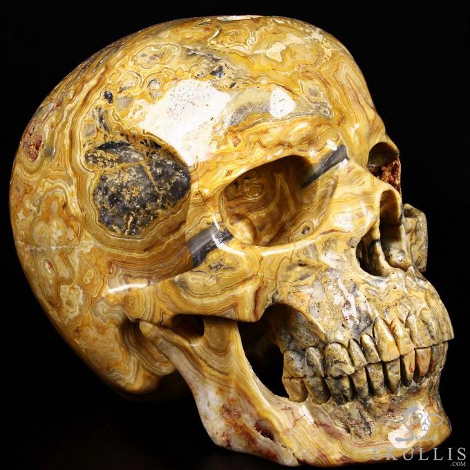 (38.4LB )Feb 3, 2015 ACSAD (A Crystal Skull a Day) - Faly Goavana - Titan Crazy Lace Agate Carved Crystal Skull Sculpture (38.4LB )Feb 3, 2015 ACSAD (A Crystal Skull a Day) - Faly Goavana - Titan Crazy Lace Agate Carved Crystal Skull Sculpture