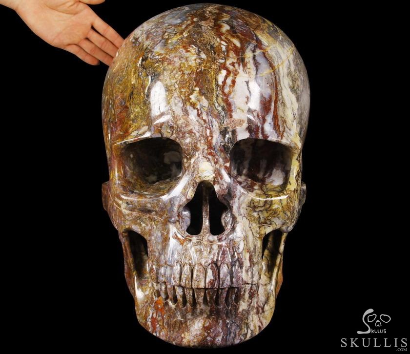 144.9LB RARE TITAN 18.1" Blue, Gold & Red Pietersit Carved Crystal Skull, Realistic 144.9LB RARE TITAN 18.1" Blue, Gold & Red Pietersit Carved Crystal Skull, Realistic