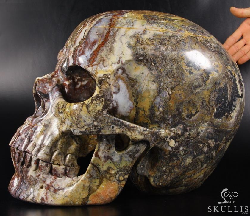 144.9LB RARE TITAN 18.1" Blue, Gold & Red Pietersit Carved Crystal Skull, Realistic 144.9LB RARE TITAN 18.1" Blue, Gold & Red Pietersit Carved Crystal Skull, Realistic