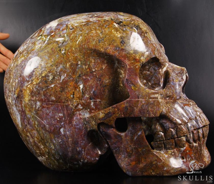 144.9LB RARE TITAN 18.1" Blue, Gold & Red Pietersit Carved Crystal Skull, Realistic 144.9LB RARE TITAN 18.1" Blue, Gold & Red Pietersit Carved Crystal Skull, Realistic