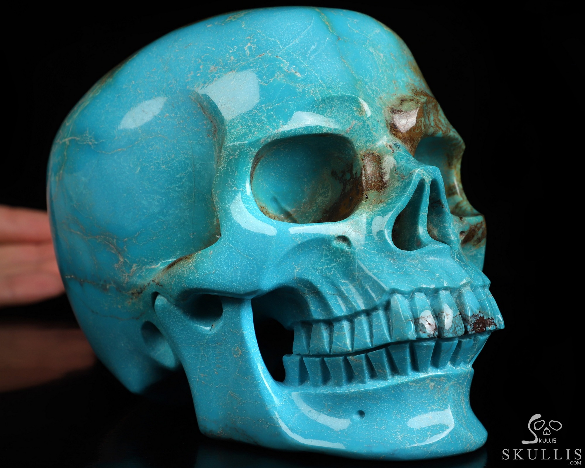 Museum Quality! 6.1" Turquoise Hand Carved Crystal Skull, Super Realistic, Crystal Healing Museum Quality! 6.1" Turquoise Hand Carved Crystal Skull, Super Realistic, Crystal Healing