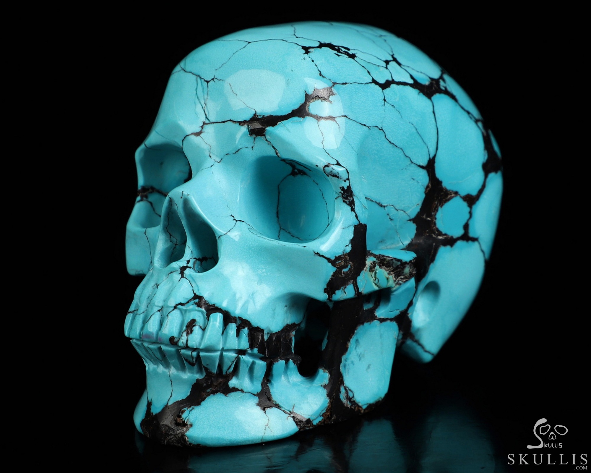 Amazing 2.6" Spider Web Turquoise Hand Carved Crystal Skull, Super Realistic, Crystal Healing Amazing 2.6" Spider Web Turquoise Hand Carved Crystal Skull, Super Realistic, Crystal Healing