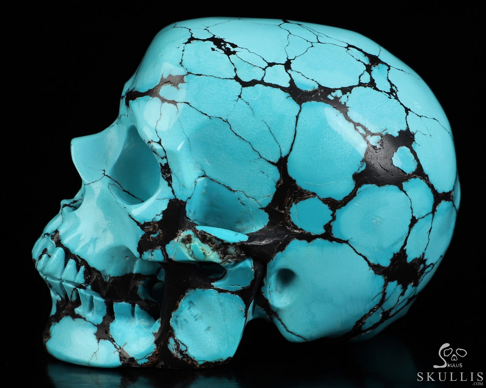Amazing 2.6" Spider Web Turquoise Hand Carved Crystal Skull, Super Realistic, Crystal Healing Amazing 2.6" Spider Web Turquoise Hand Carved Crystal Skull, Super Realistic, Crystal Healing