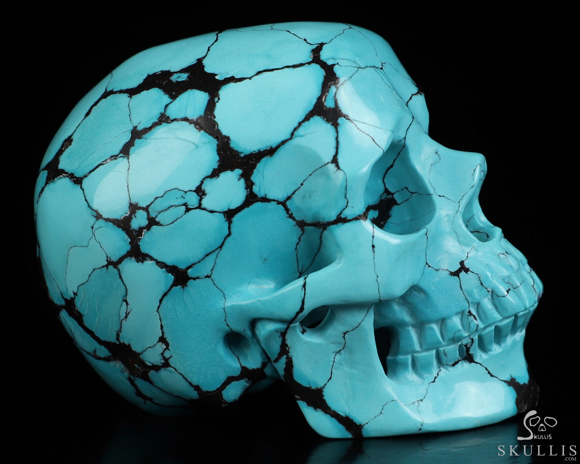 Amazing 2.6" Spider Web Turquoise Hand Carved Crystal Skull, Super Realistic, Crystal Healing Amazing 2.6" Spider Web Turquoise Hand Carved Crystal Skull, Super Realistic, Crystal Healing