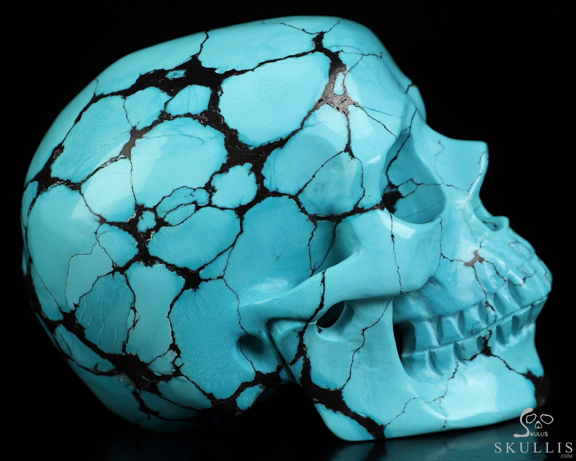 Amazing 2.6" Spider Web Turquoise Hand Carved Crystal Skull, Super Realistic, Crystal Healing Amazing 2.6" Spider Web Turquoise Hand Carved Crystal Skull, Super Realistic, Crystal Healing