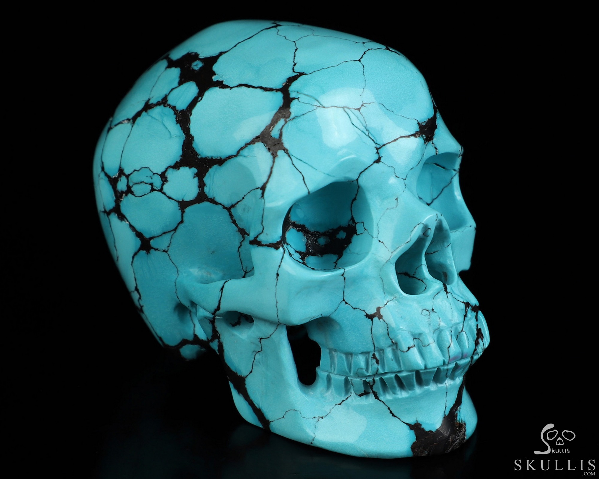 Amazing 2.6" Spider Web Turquoise Hand Carved Crystal Skull, Super Realistic, Crystal Healing Amazing 2.6" Spider Web Turquoise Hand Carved Crystal Skull, Super Realistic, Crystal Healing