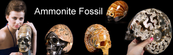 Ammonite Fossil Carved Skulls