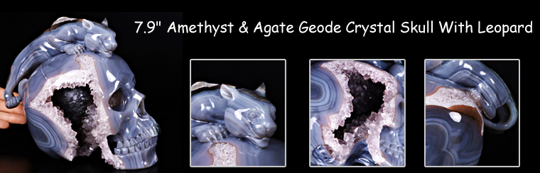 Giant 7.9 Amethyst Agate Geode Carved Leopard & Skull