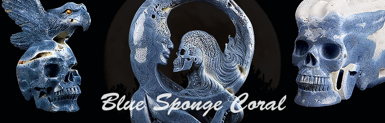 Blue Sponge Coral Fine Art