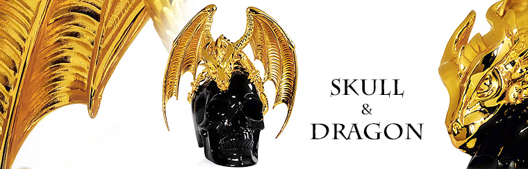 SKULL & DRAGON
