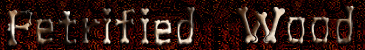 Petrified Wood