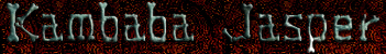 Kambaba Jasper