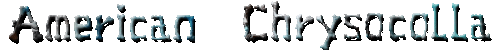 American  Chrysocolla