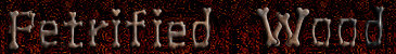 petrified wood branch