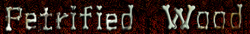 petrified wood branch