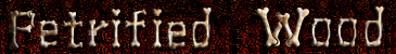 petrified wood branch