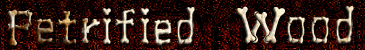 petrified wood branch