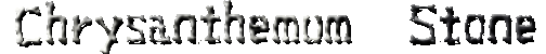 Chrysanthemum Stone