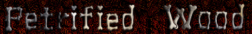 Petrified Wood