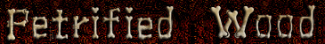 Petrified Wood