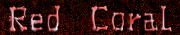 Red Coral