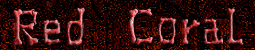 Red Coral