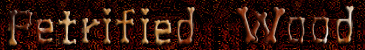 Petrified Wood