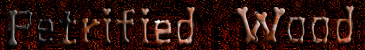 Petrified Wood