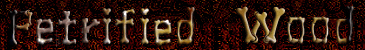 Petrified Wood