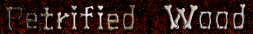 Petrified Wood