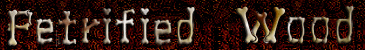 Petrified Wood