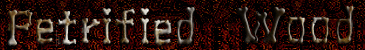 Petrified Wood Branch